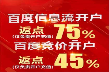 百度推广优化策略：成功案例解析